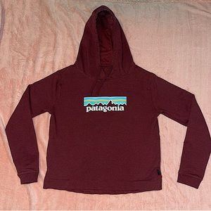 Patagonia Burgundy Hoodie